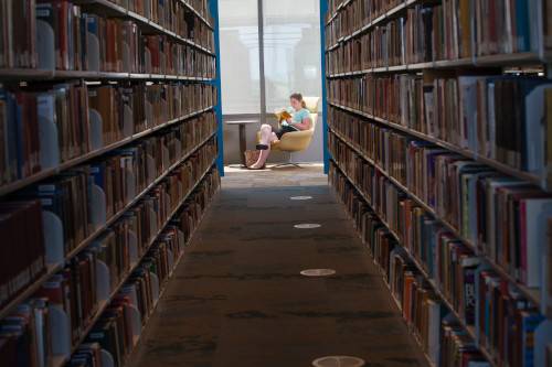 Quiet study surrounds the bookstacks